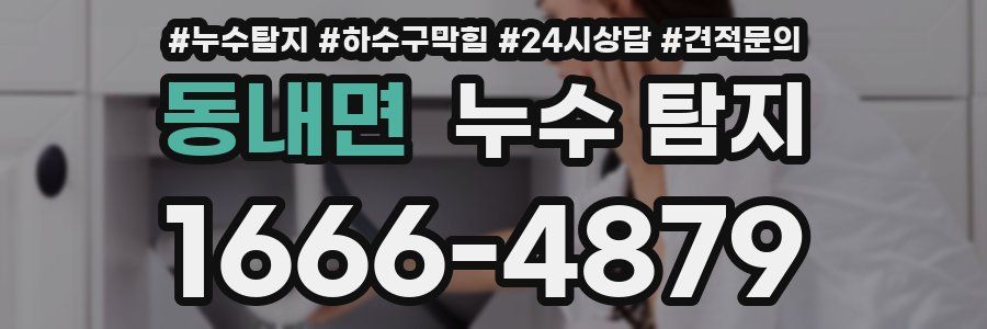 동내면 누수 탐지