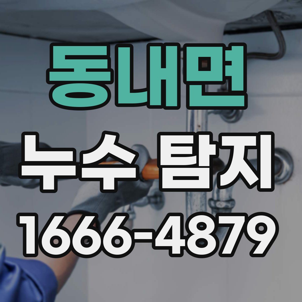 동내면 누수 탐지
