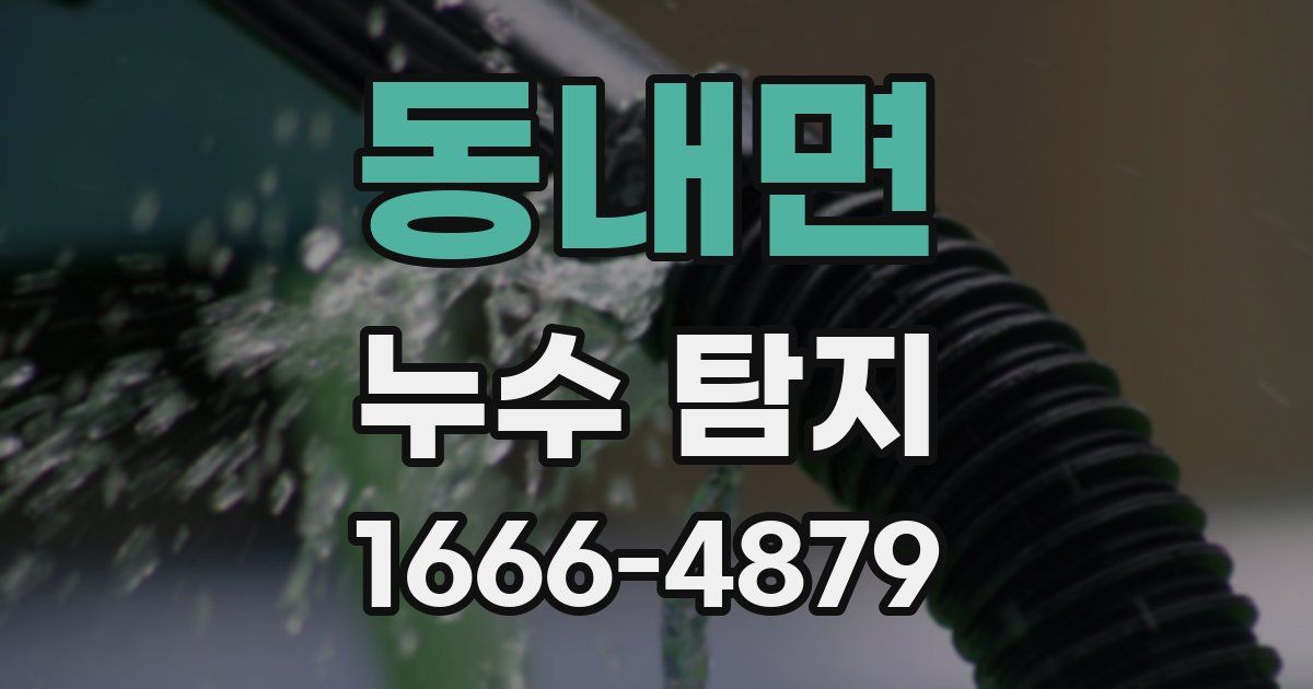 동내면 누수 탐지