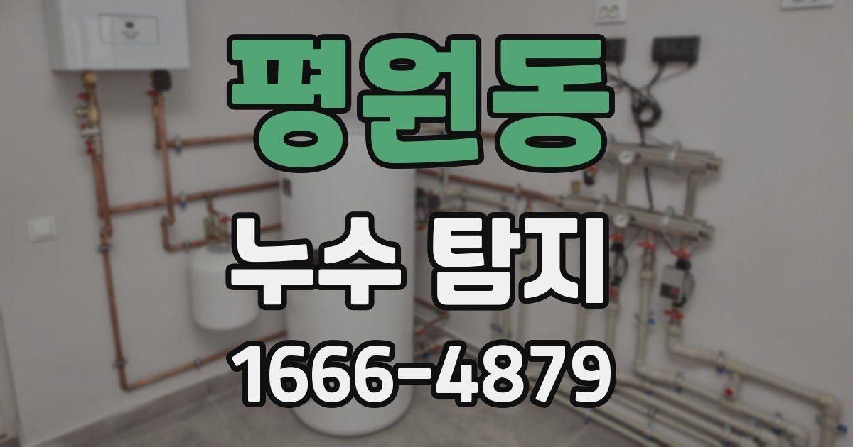 평원동 누수 탐지