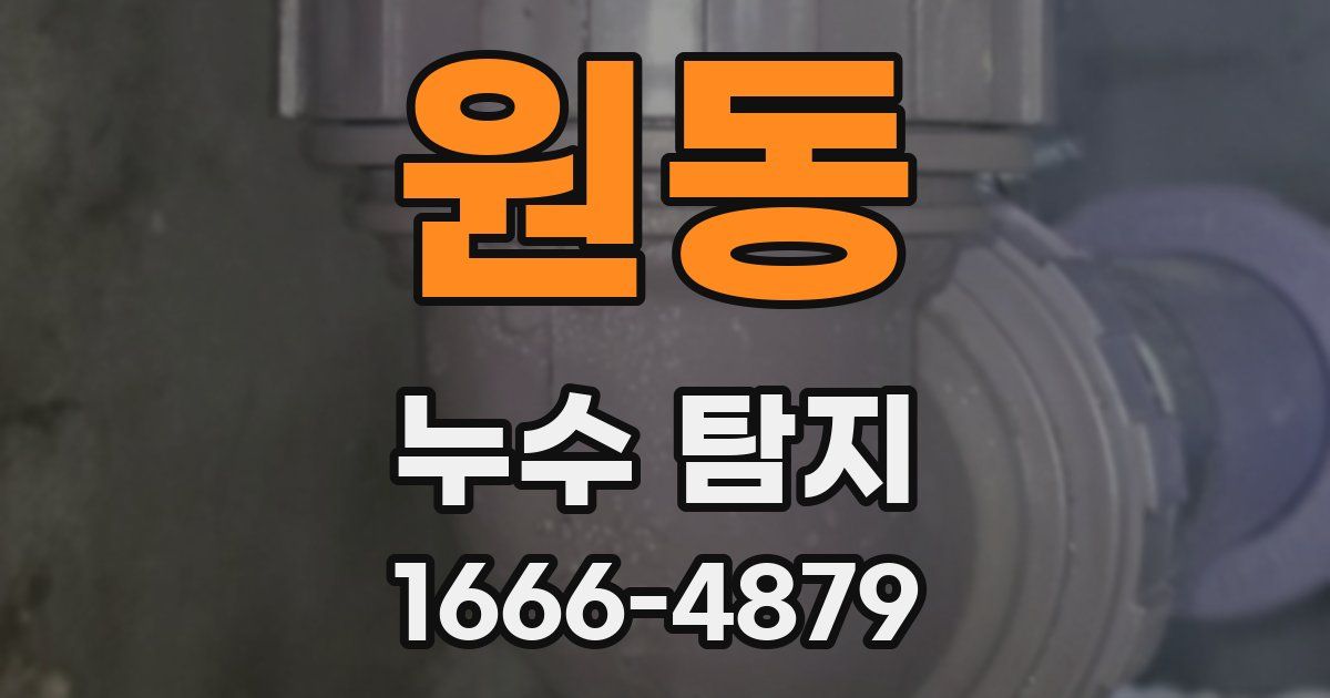 원동 누수 탐지