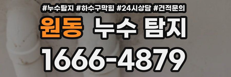 원동 누수 탐지
