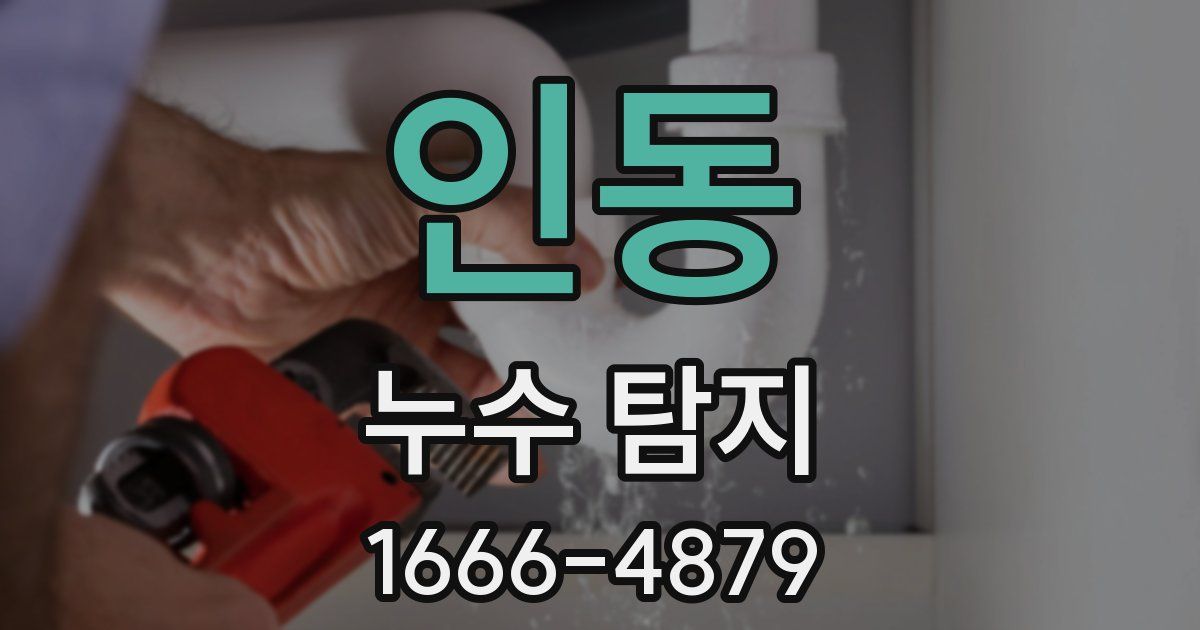 인동 누수 탐지