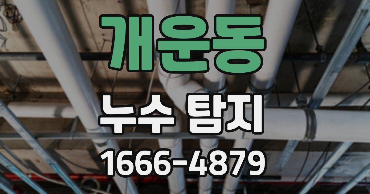 개운동 누수 탐지
