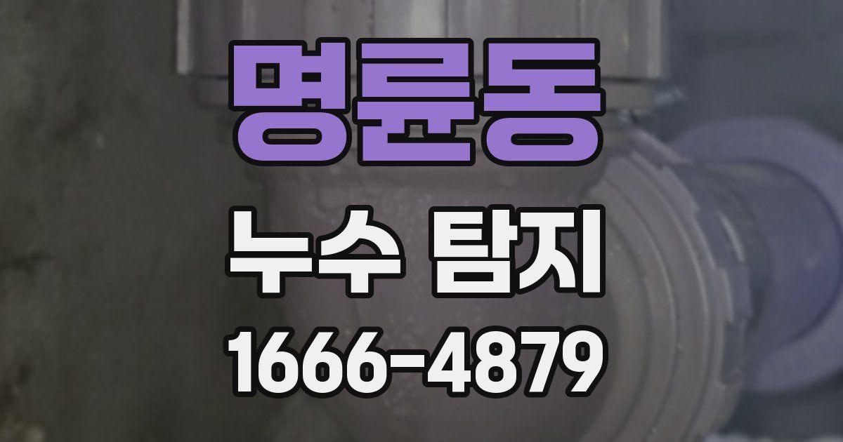 명륜동 누수 탐지