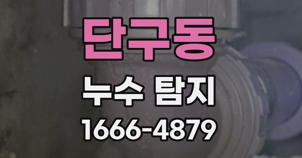 단구동 누수 탐지
