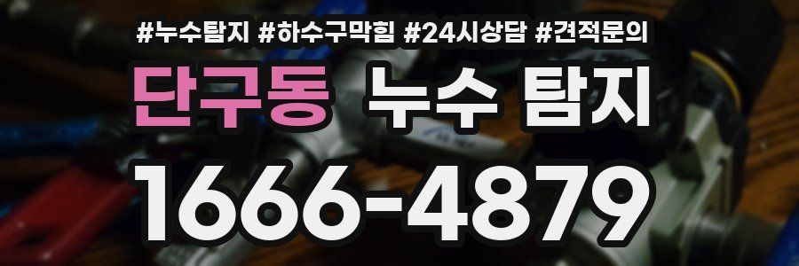 단구동 누수 탐지