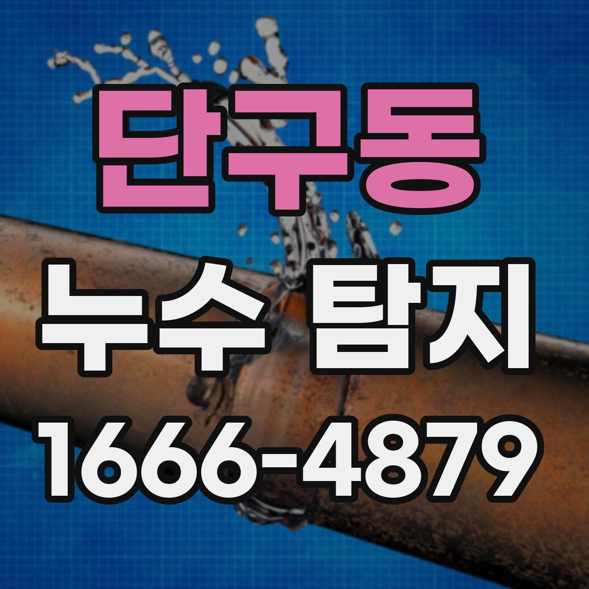 단구동 누수 탐지