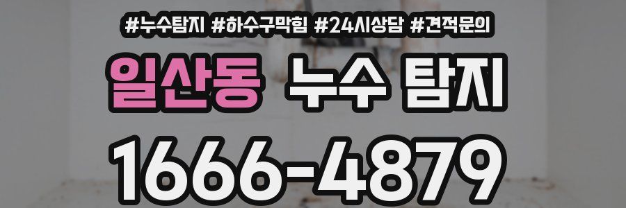일산동 누수 탐지