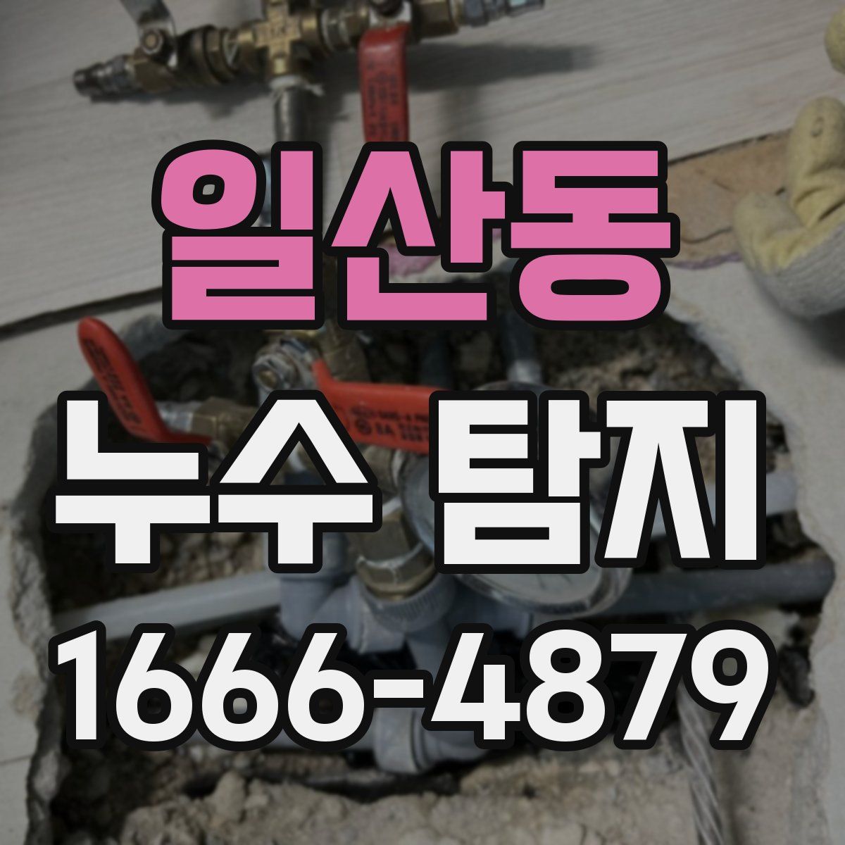 일산동 누수 탐지
