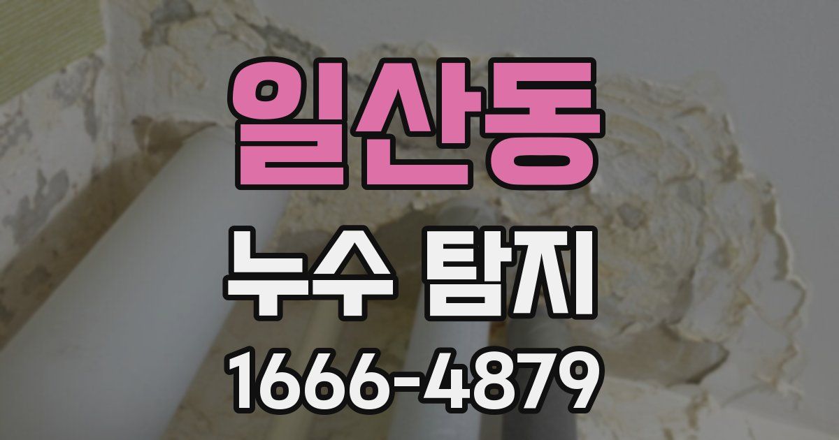 일산동 누수 탐지