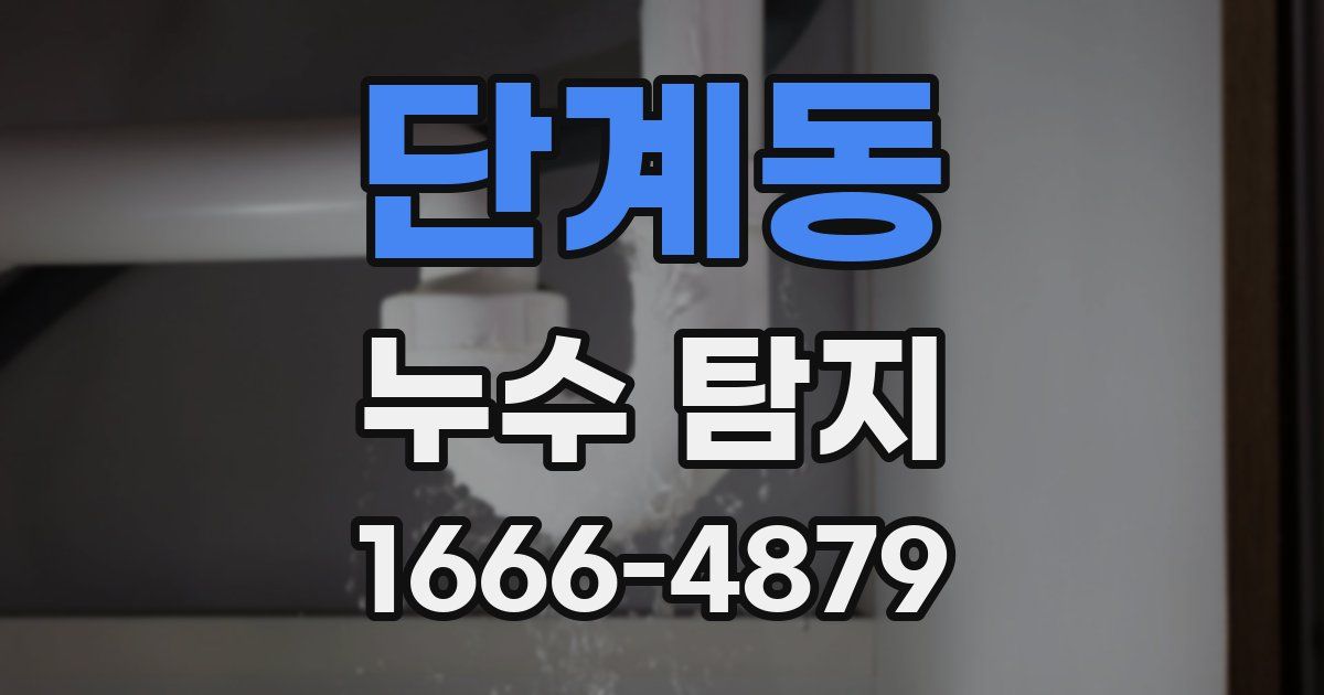 단계동 누수 탐지