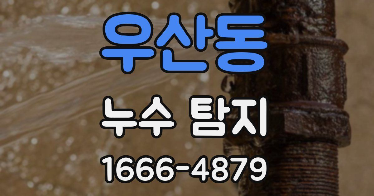우산동 누수 탐지