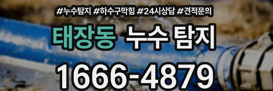 태장동 누수 탐지