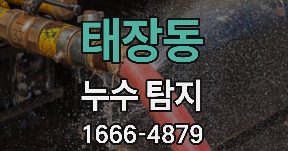 태장동 누수 탐지