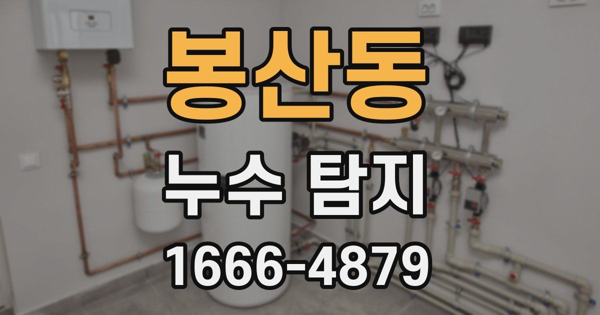 봉산동 누수 탐지