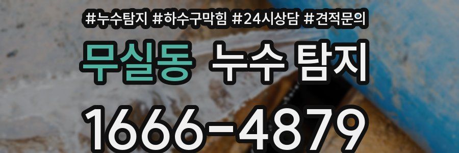 무실동 누수 탐지