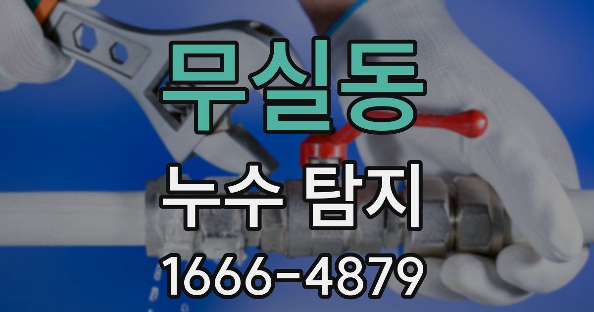 무실동 누수 탐지