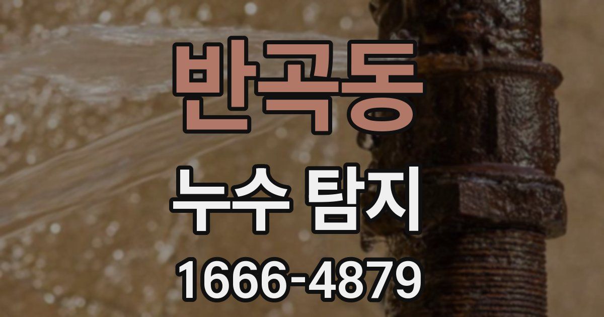 반곡동 누수 탐지