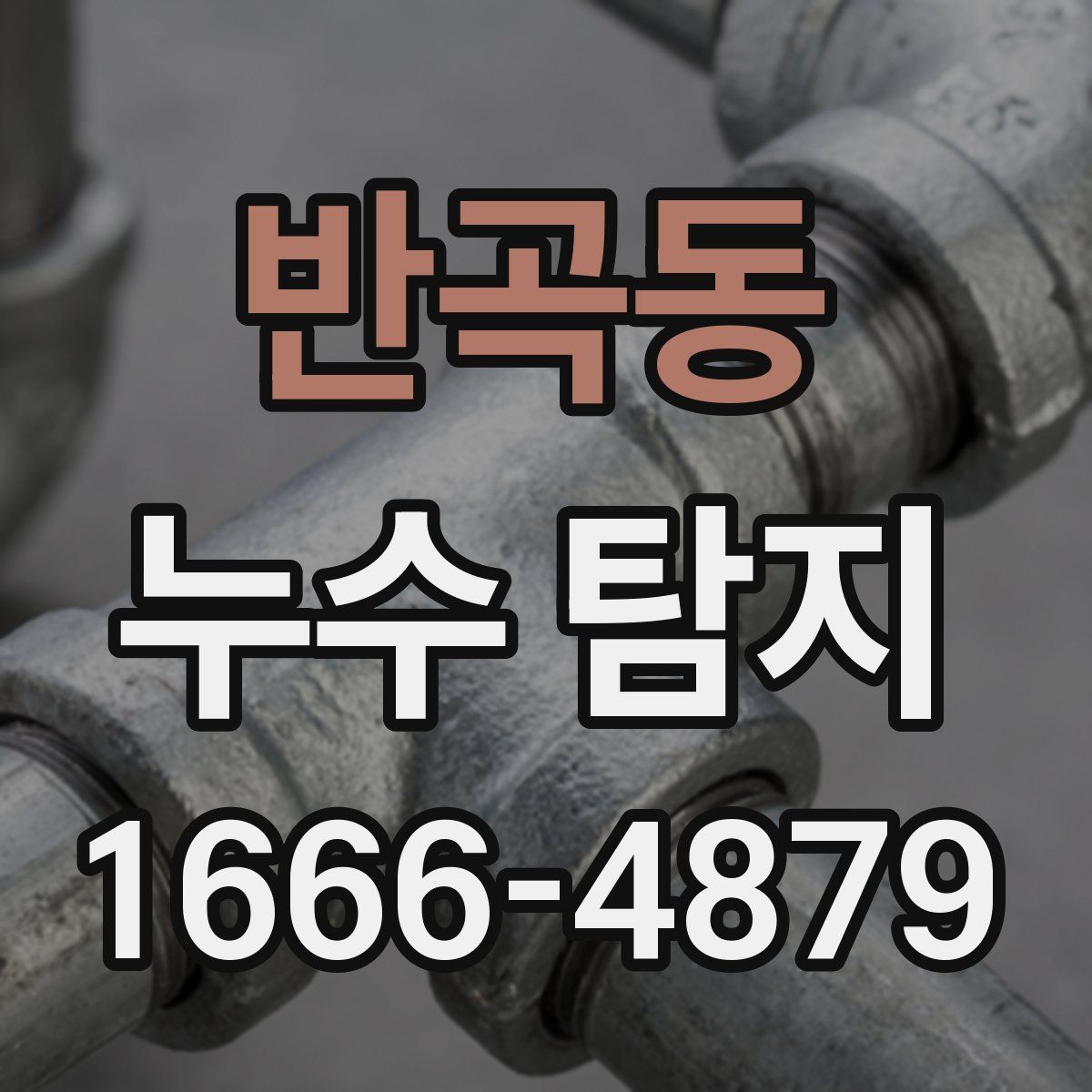 반곡동 누수 탐지