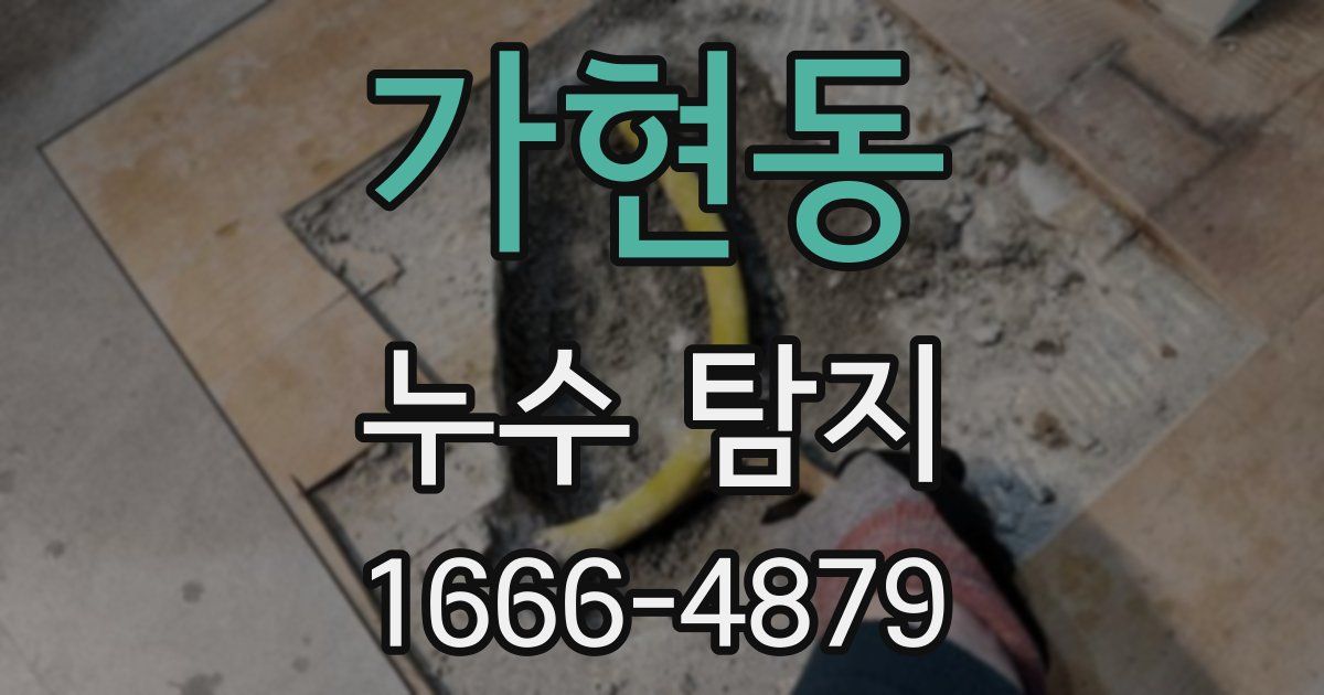 가현동 누수 탐지