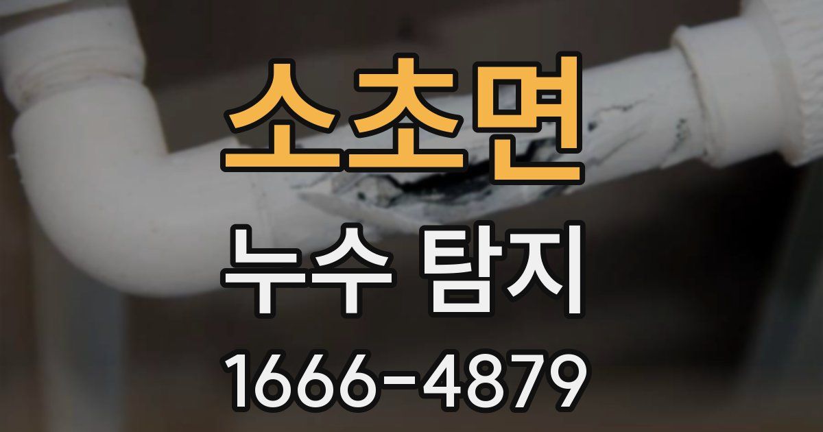 소초면 누수 탐지