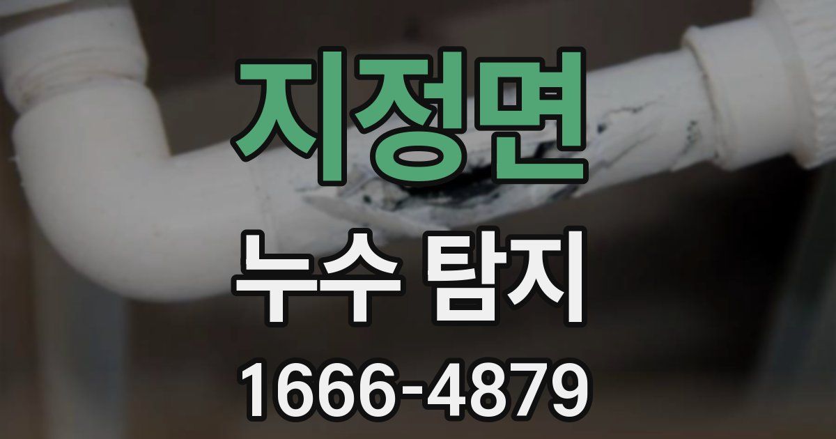 지정면 누수 탐지