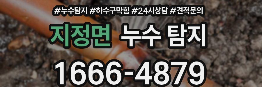 지정면 누수 탐지