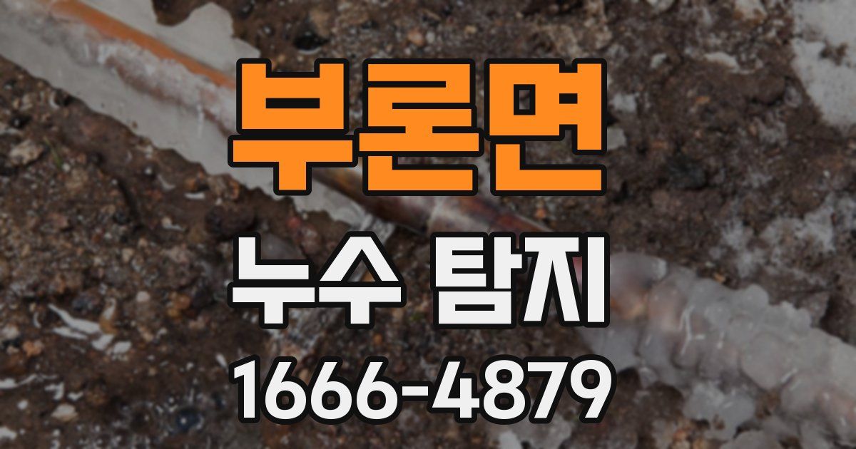 부론면 누수 탐지
