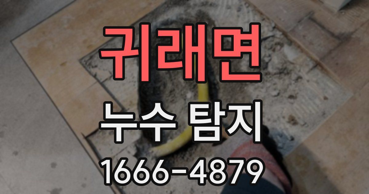 귀래면 누수 탐지