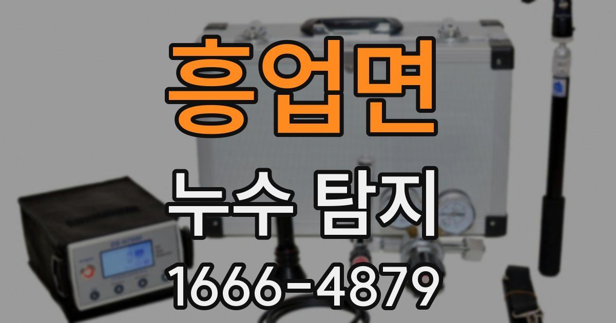 흥업면 누수 탐지