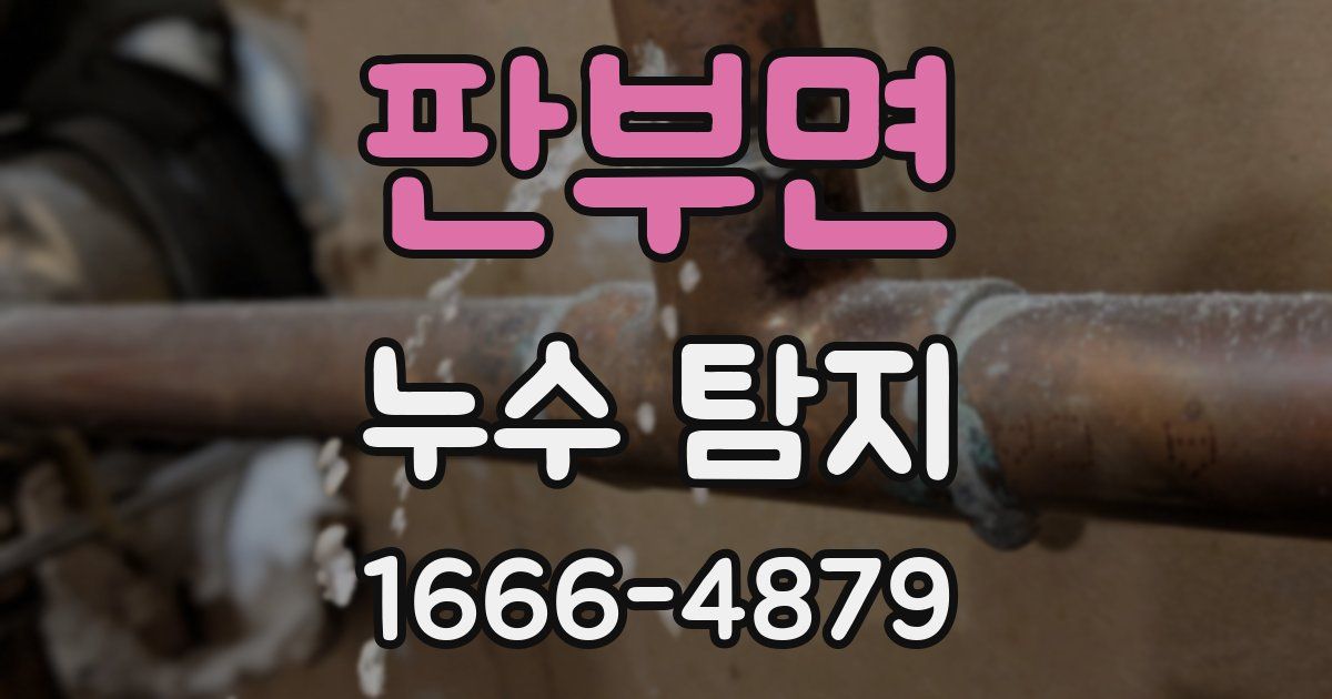 판부면 누수 탐지
