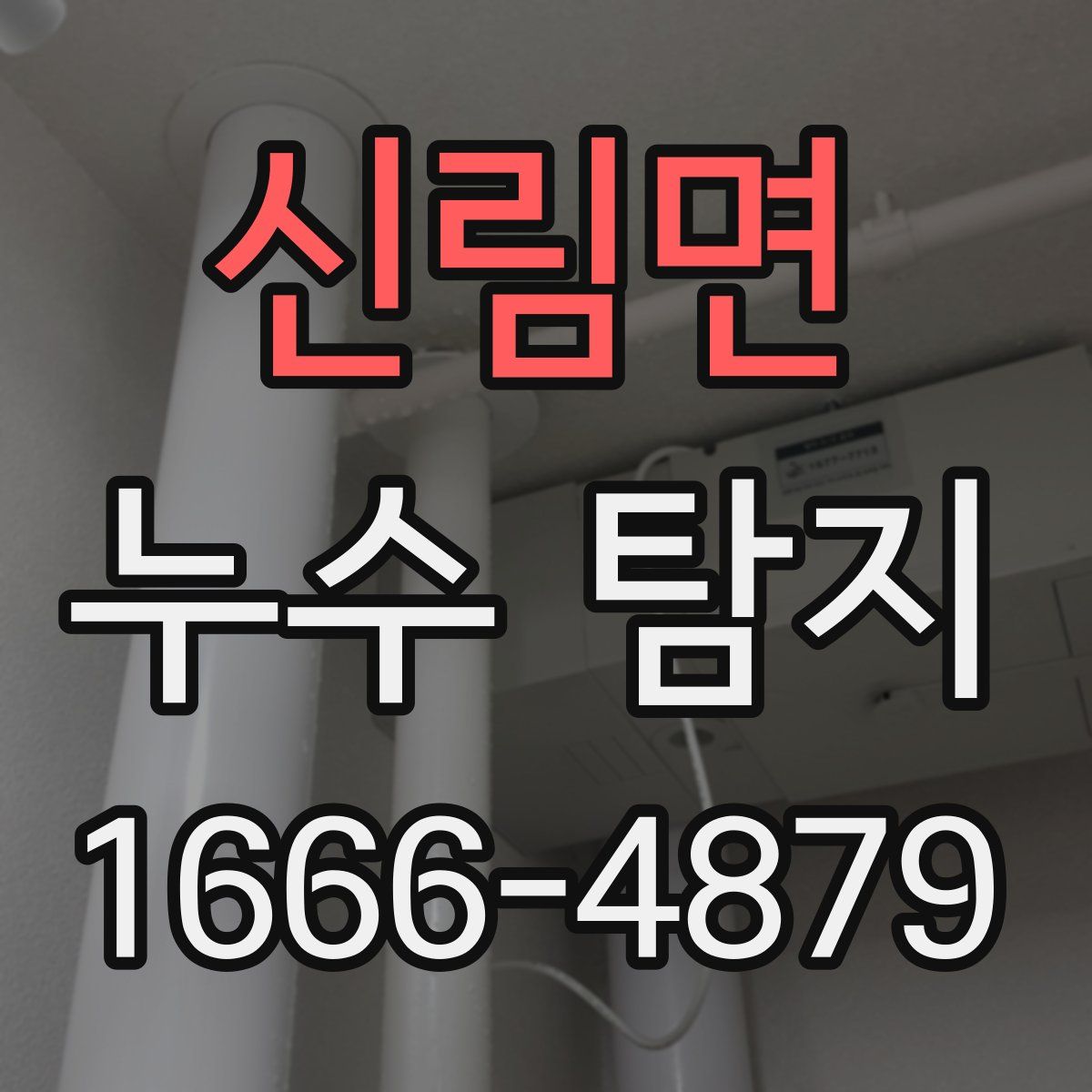 신림면 누수 탐지