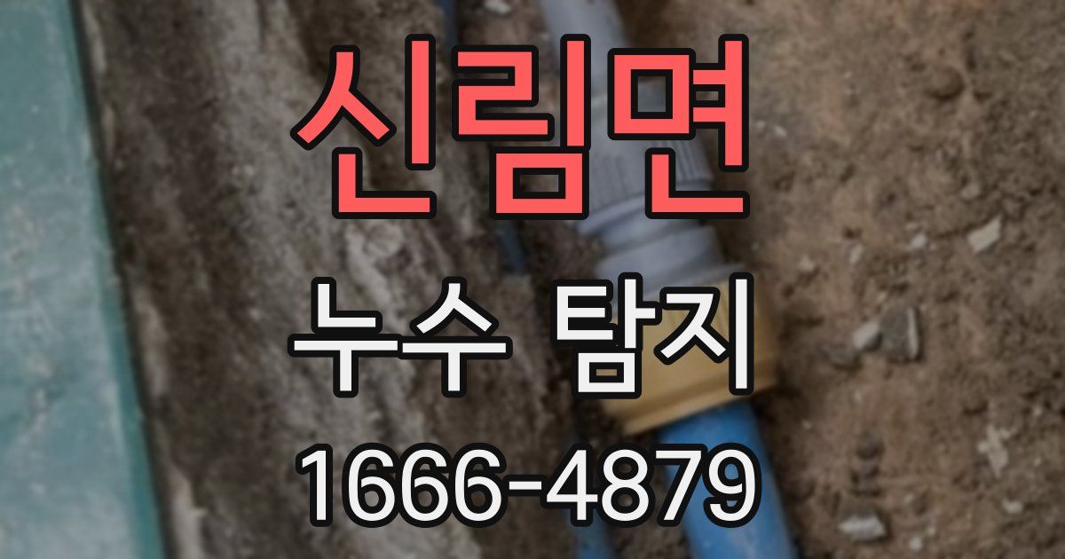 신림면 누수 탐지