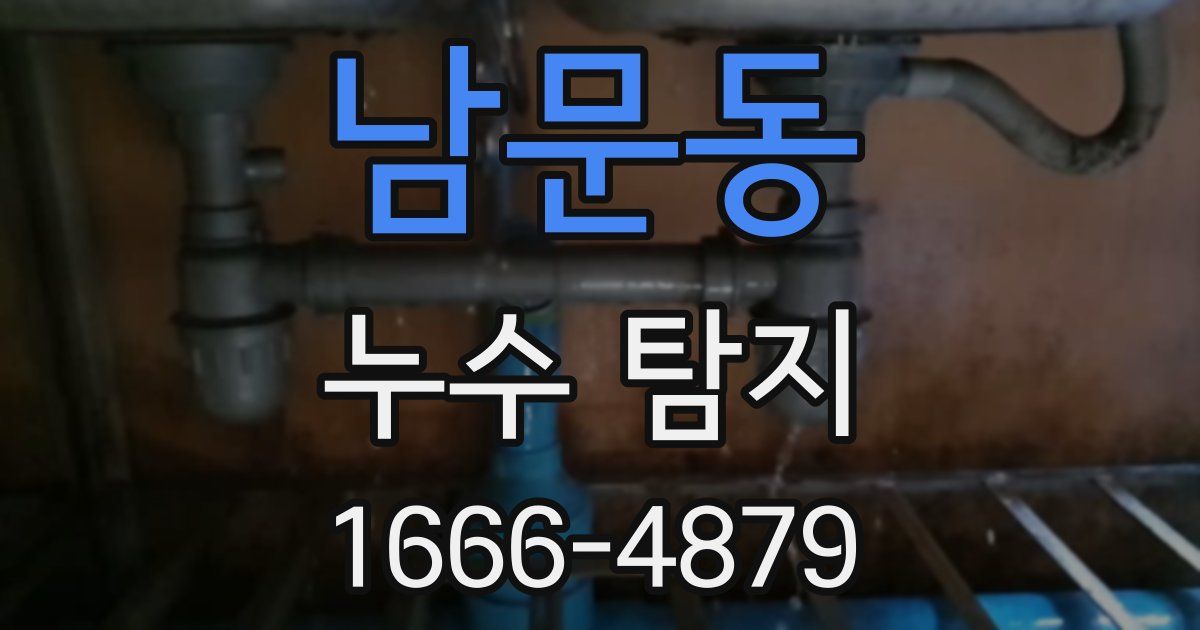 남문동 누수 탐지