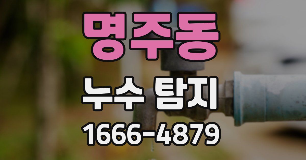 명주동 누수 탐지