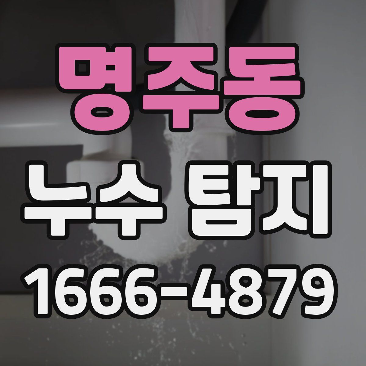 명주동 누수 탐지