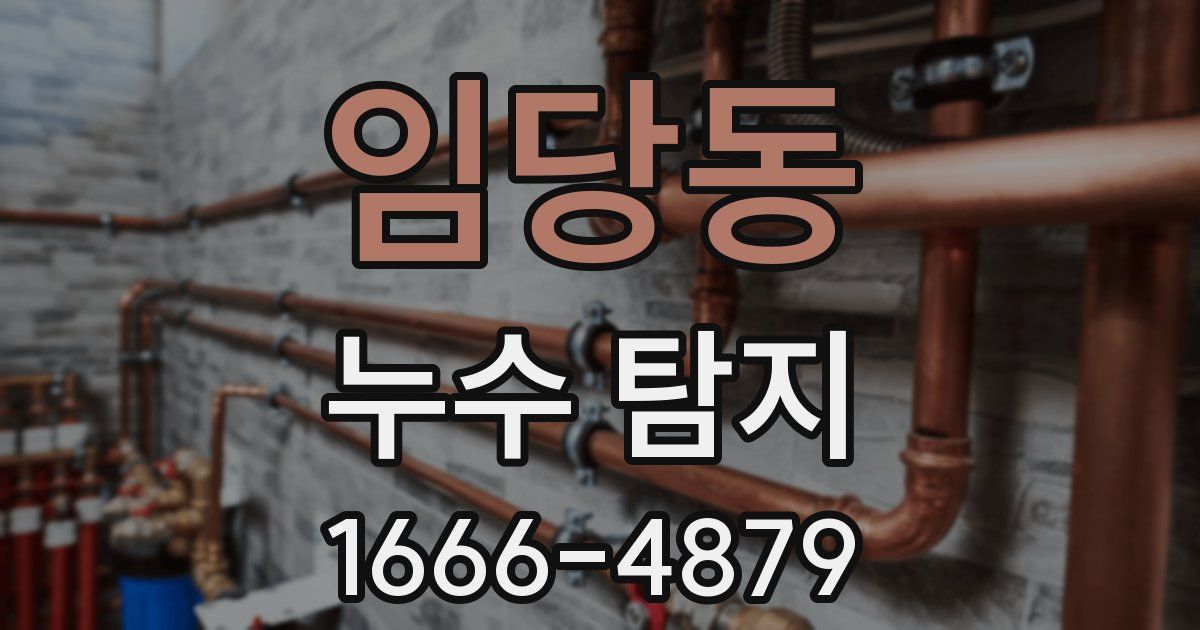 임당동 누수 탐지