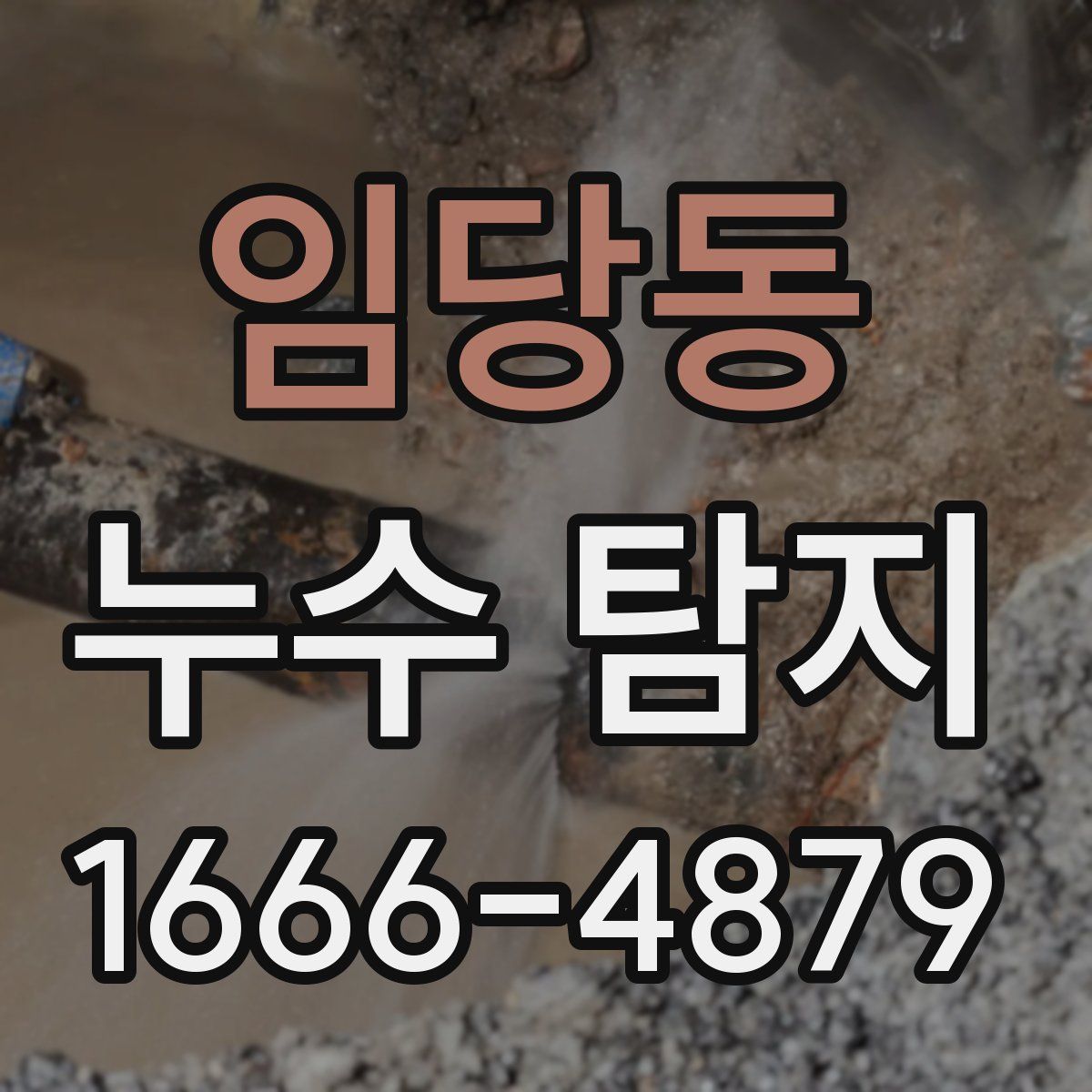 임당동 누수 탐지