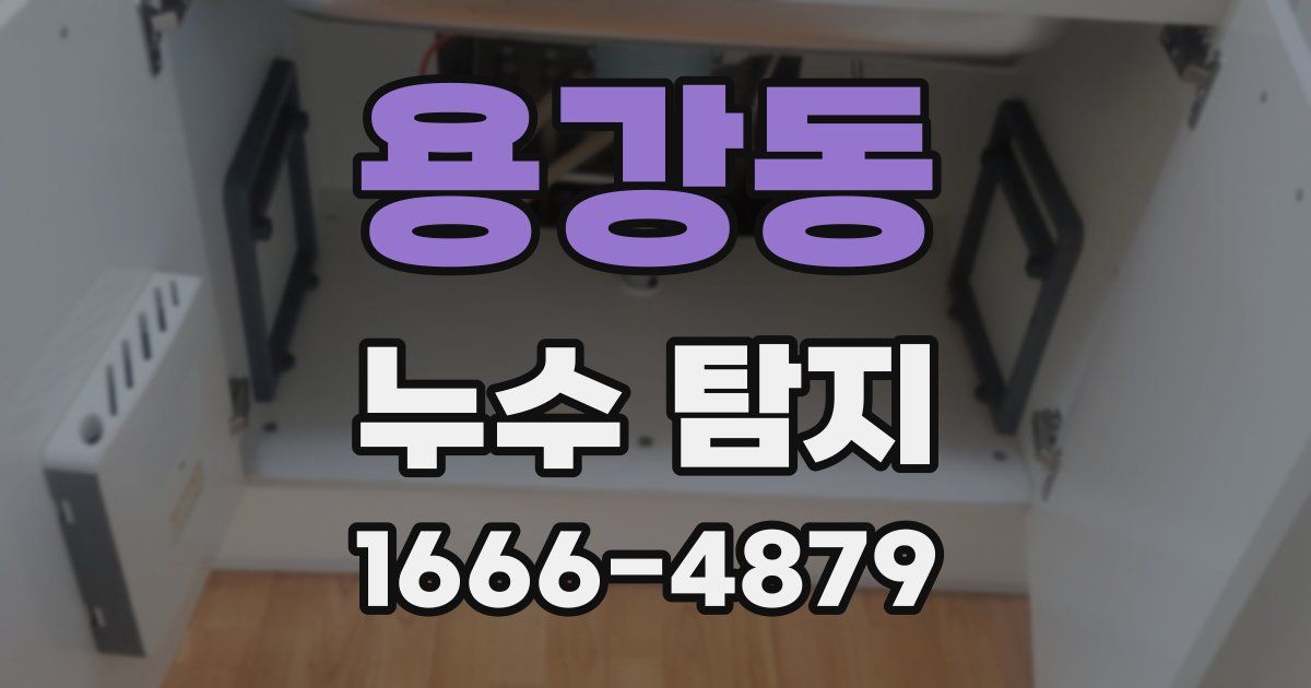 용강동 누수 탐지
