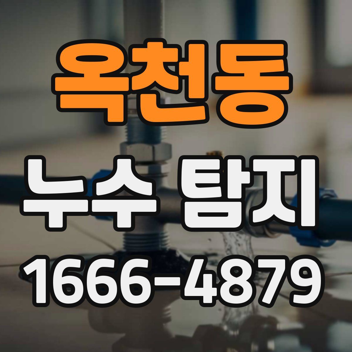 옥천동 누수 탐지