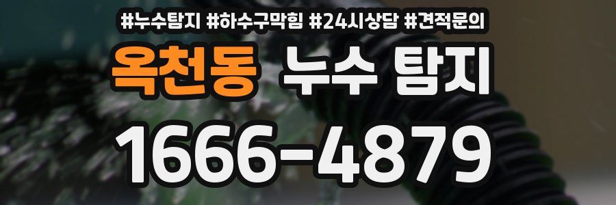 옥천동 누수 탐지