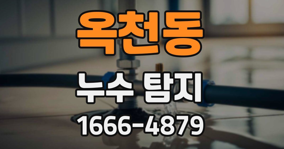 옥천동 누수 탐지