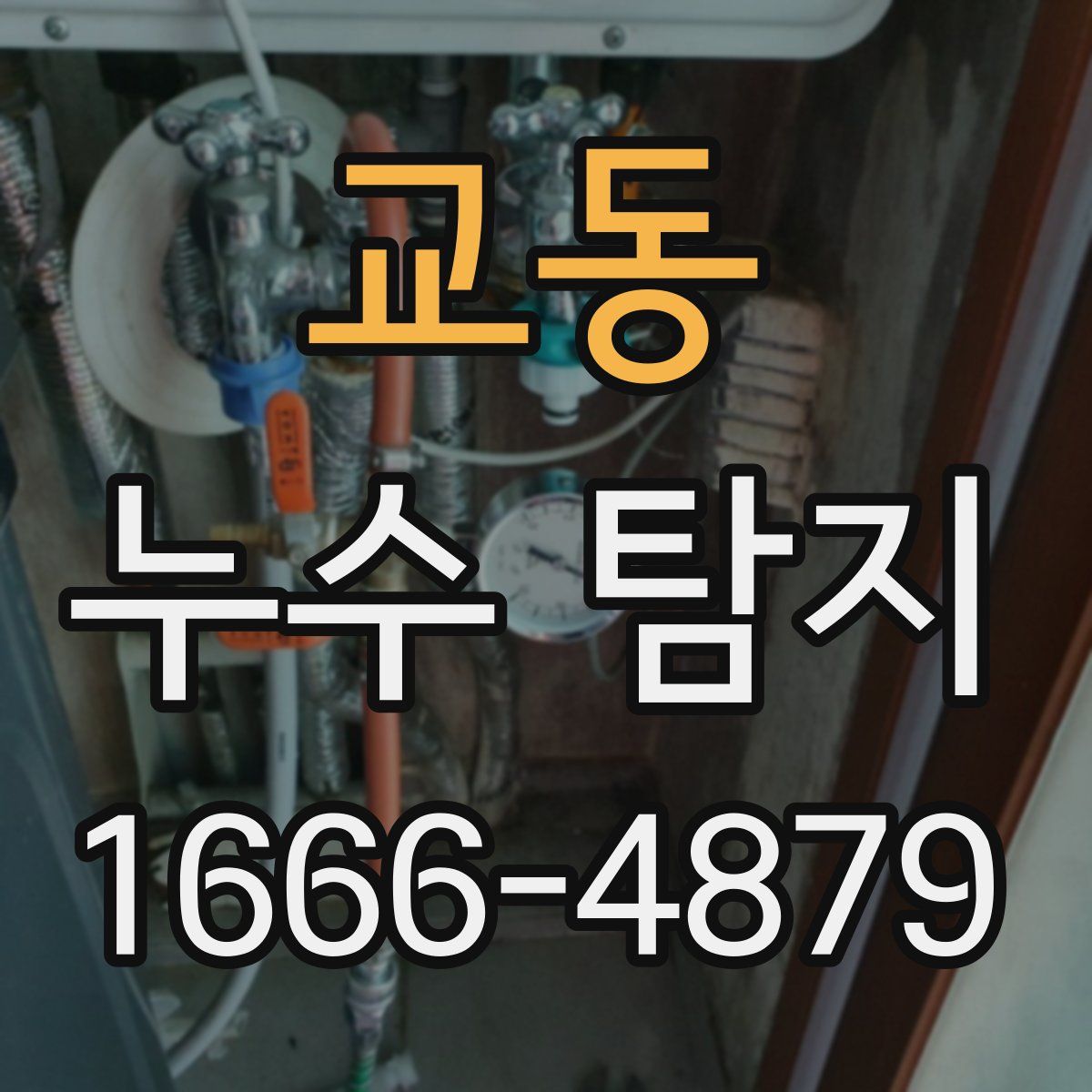 교동 누수 탐지