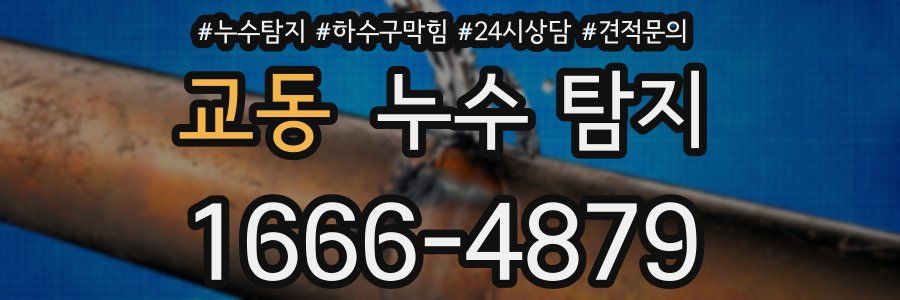 교동 누수 탐지