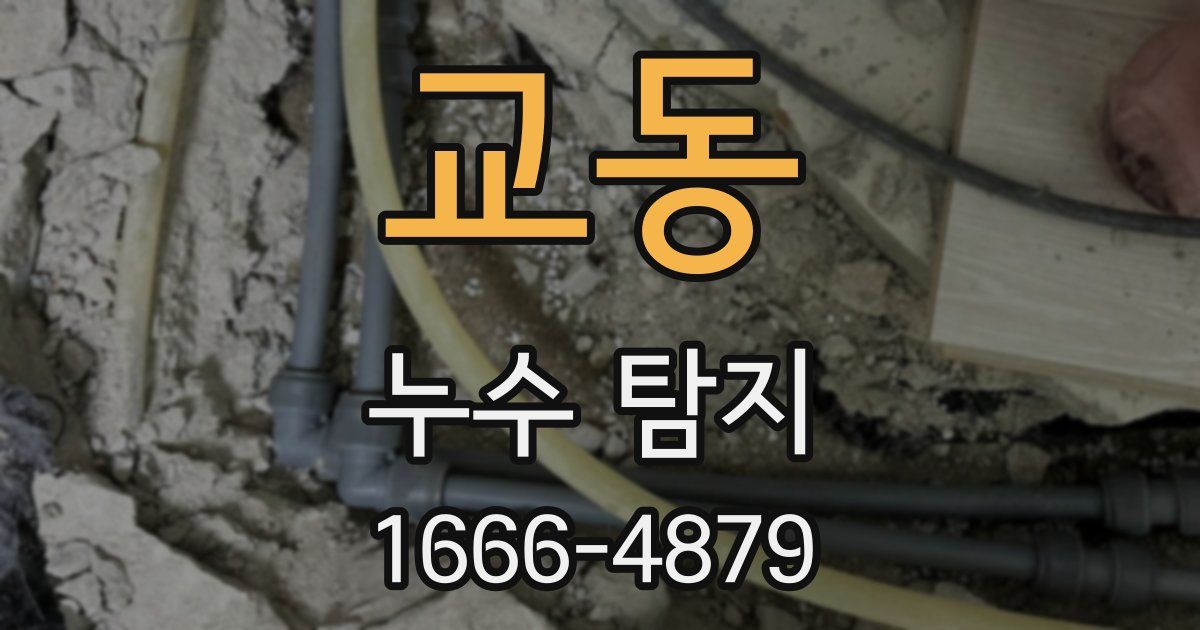 교동 누수 탐지