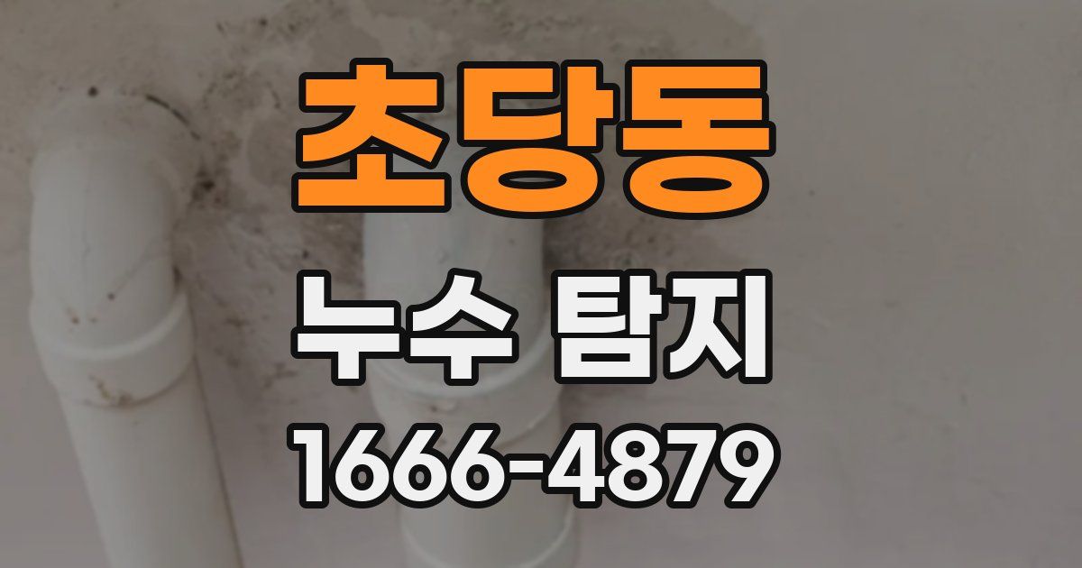 초당동 누수 탐지