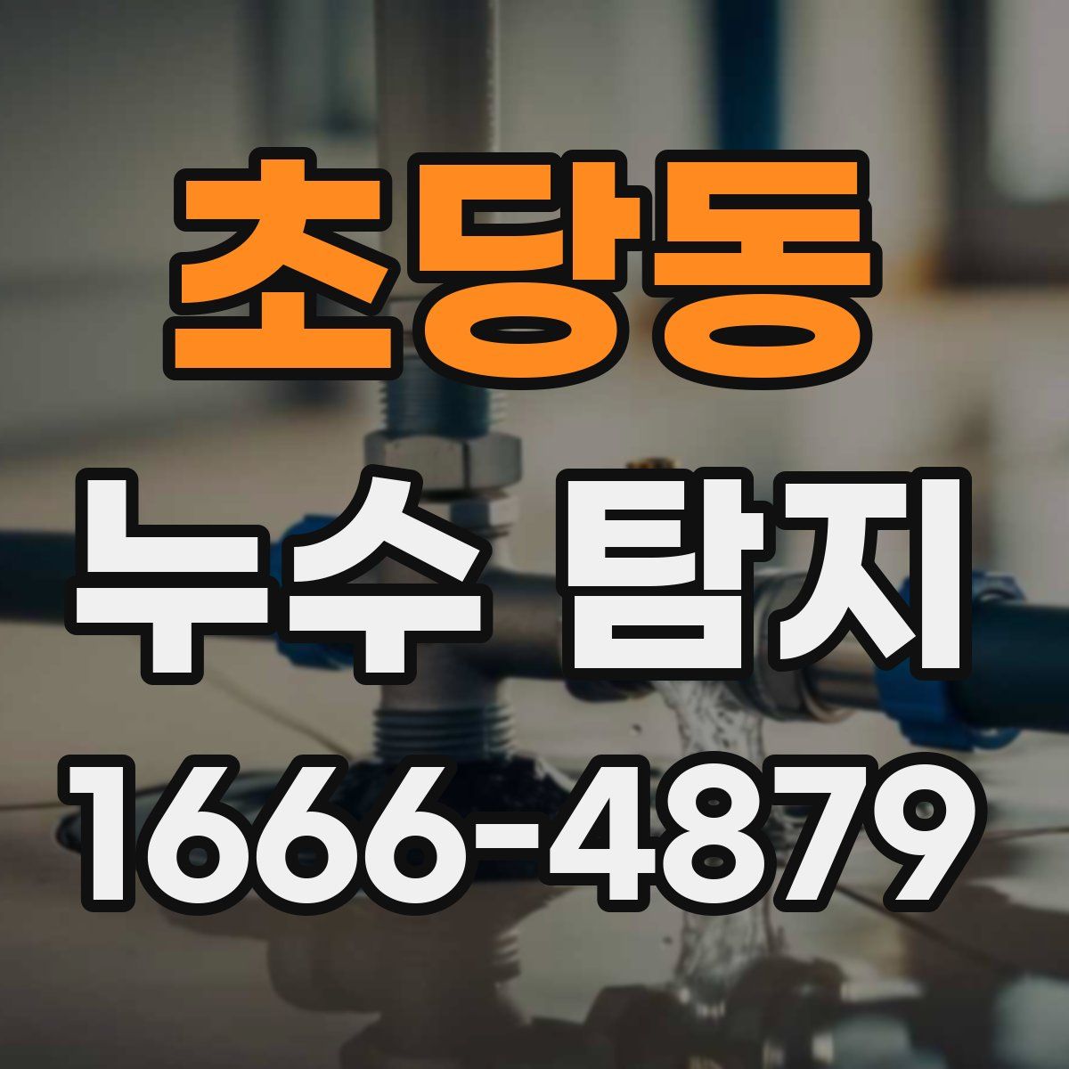 초당동 누수 탐지