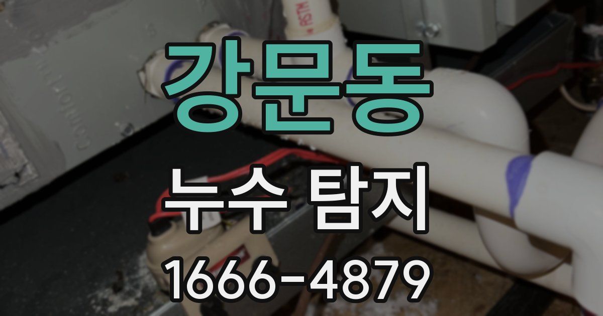 강문동 누수 탐지