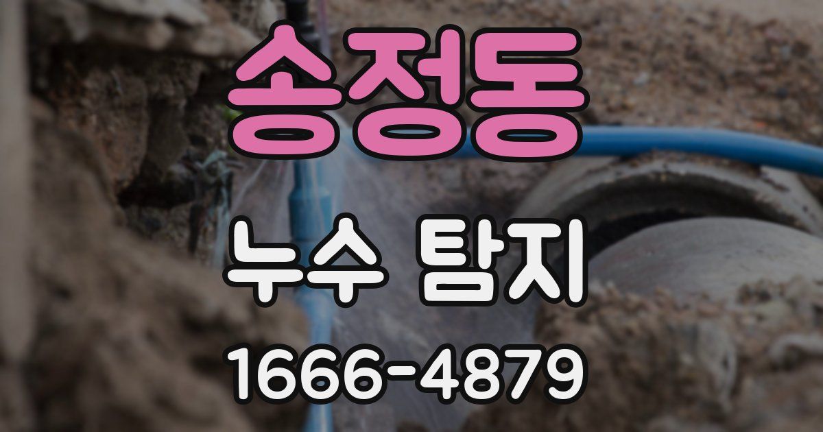 송정동 누수 탐지